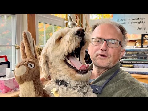 Видео: Глобальные переломные моменты 2025 года: все, что вы хотите знать