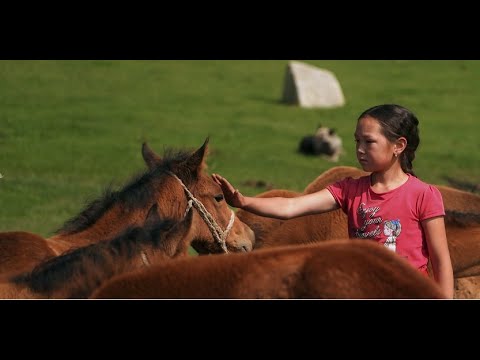 Видео: Кыргыз жылкысы