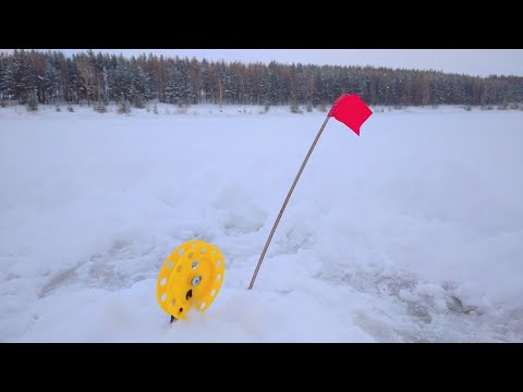 Видео: РЫБАЛКА НА ЖЕРЛИЦЫ В ОТТЕПЕЛЬ И СНЕГОПАД.