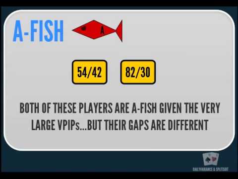 Видео: Бонус видео 1 Типы оппонентов