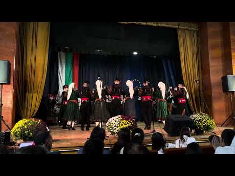 Видео: Ансамбъл Тракия “Първомайски майсторлъци”