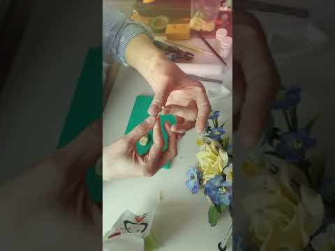 Видео: Нарцисс