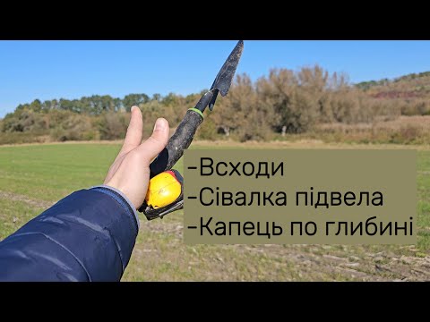 Видео: Пшениця не зійшла!!!? сівалка не посіяла, капець по глибині