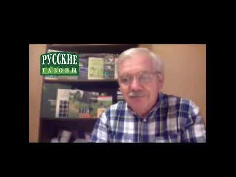 Видео: Основные вопросы о рулонном газоне  Отвечает Д Ю   Лянгузов