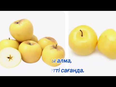 Видео: "AЛМА" Караоке (+) әні: Ғайния Дауылбаева, сөзі: Мерей Қарт.