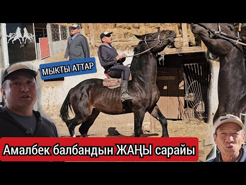 Видео: Амал БАЛБАНДЫН  жаңы сарайынан МОЩНЫЙ АТТАР 
