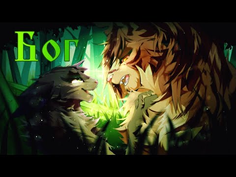 Видео: ЗАКАЗ Коты Воители Звездоцап и Частокол: Бог [Grad End]