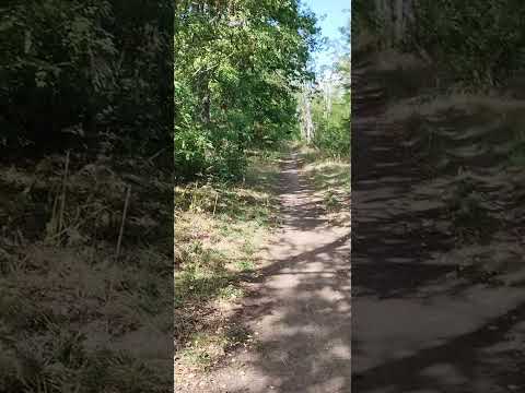 Видео: Три колена в образе лебедя, рака и щуки