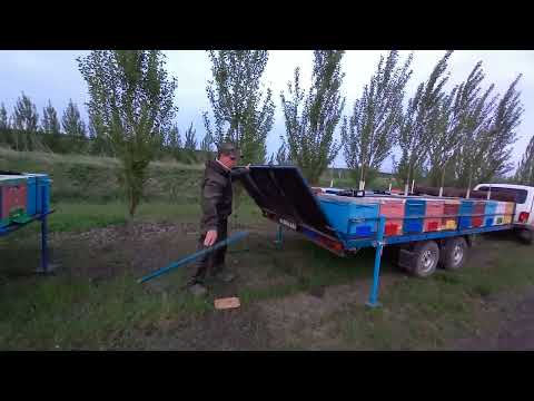 Видео: Переезд на рапс