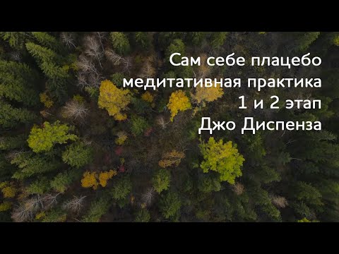 Видео: Сам себе плацебо. 1 и 2 этап. Медитация Джо Диспенза