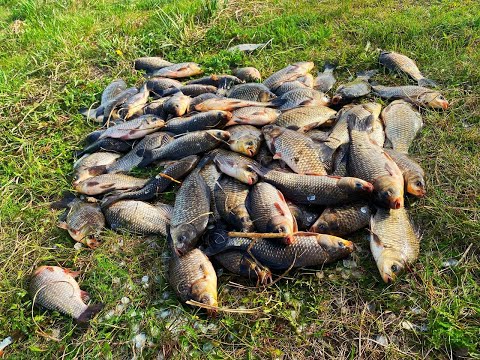 Видео: ЗАКИНУЛИ АРБУЗЫ В ВОДУ И ТУТ НАЧАЛОСЬ! рыбалка с ночевкой