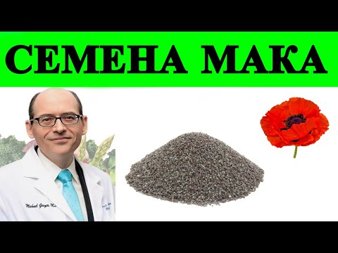 Видео: Сколько Семян Мака Слишком Много? Доктор Майкл Грегер