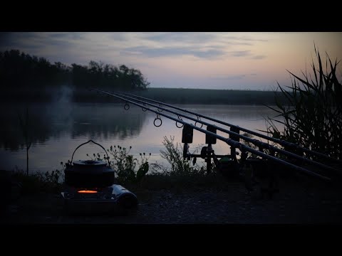 Видео: Открытие сезона на карпа 2023 | ловля на боилы и фидер весной на реке .