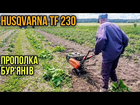 Видео: Прополювання бур'янів мотокультиватором Husqvarna tf 230 #хускварна #мотокультиватор #прополка