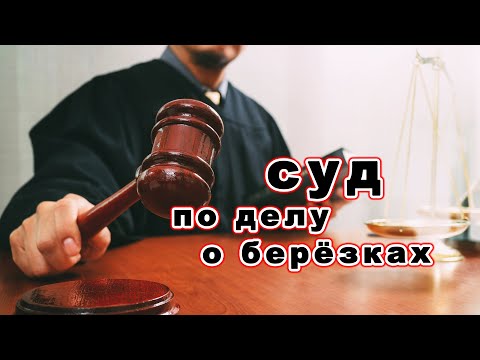 Видео: Что было на СУДЕ по делу Игнатия Лапкина? Как и кто на суде раскрыл тайну звонившего по берёзкам?