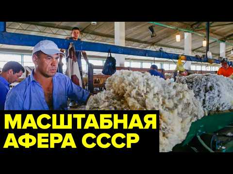 Видео: Как обычная криминальная афера в СССР совершила неожиданный поворот