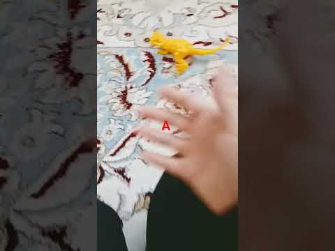 Видео: 23 октября 2025 г.