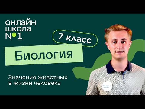 Видео: Значение животных в жизни человека. Видеоурок 2. Биология 7 класс
