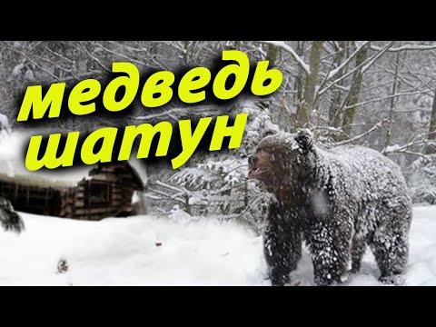Видео: 🐻🐻/ЖУТКАЯ НОЧЬ В ОХОТНИЧЬЕЙ ИЗБУШКЕ/