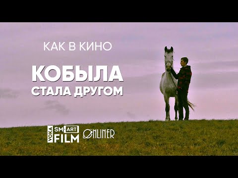 Видео: Как в кино: хромая кобыла изменила всю мою жизнь