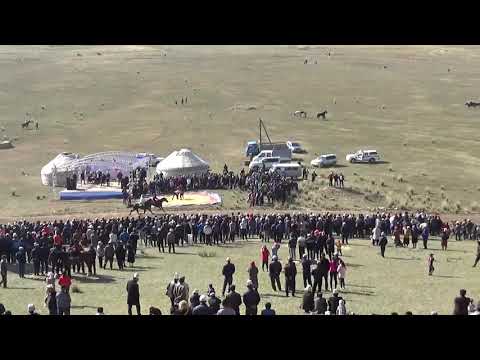 Видео: Жорго сылыш. Торгой баатыр 300 жыл мааракеси. Чон жорго