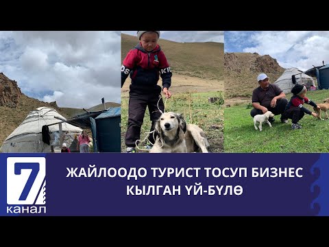 Видео: Жайлоодо турист тосуп бизнес кылган үй-бүлө