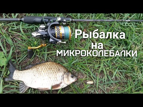 Видео: КАРАСЬ И МНОГИЕ ДРУГИЕ ВИДЫ РЫБЫ НА МИКРОКОЛЕБАЛКИ! РЫБАЛКА НА СПИННИНГ!