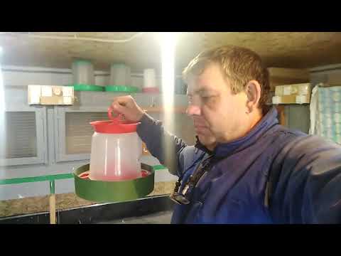Видео: бортик для кормушки