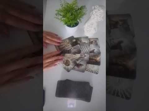 Видео: 🌿♦️ ТАРО ДЛЯ МУЖЧИН 💯 ПОВЕРЬТЕ ‼️ ВАЖНОЕ СООБЩЕНИЯ ДЛЯ ВАС ‼️🌿❤️