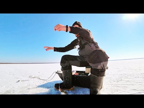 Видео: Ловля подлещика со льда|Весенний подлещик на удочку|Рыбалка в РБ