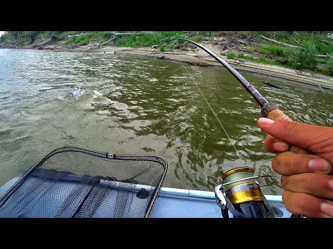 Видео: Блин ЭТО НЕ БРЕВНО, ЭТО ЩУКА ТАКАЯ КЛЮНУЛА! Трофейная рыбалка!Крупный судак!Джиг.