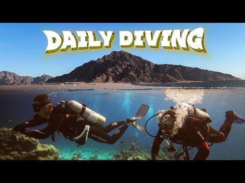 Видео: Египет 2021. Il Mercato Hotel. Дайвинг в СИЛЬНОМ течении! ОЧЕНЬ много РЫБЫ. Часть 2