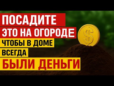 Видео: Посадите эти растения — и деньги пойдут в дом. Что сажают для богатства в огороде. Приметы дача