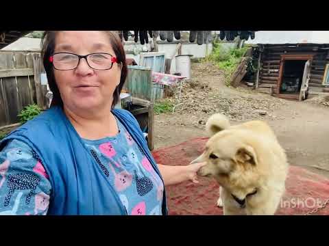 Видео: Сначала помощь,а потом расчет