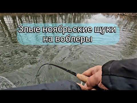 Видео: Ловля на воблеры в ноябре. Очередное закрытие сезона.