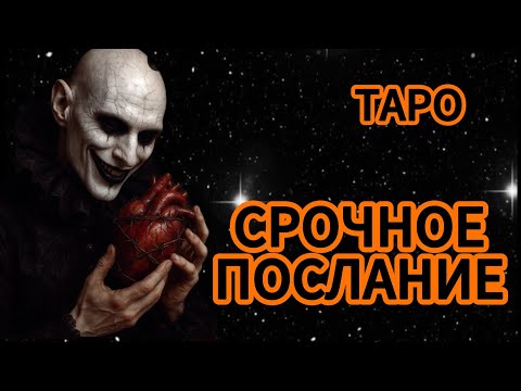 Видео: ‼️СРОЧНОЕ ПРЕДУПРЕЖДЕНИЕ‼️