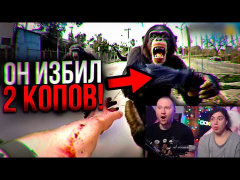 Видео: КОГДА КОПЫ СРАЖАЮТСЯ С ОПАСНЫМИ ЖИВОТНЫМИ | РЕАКЦИЯ