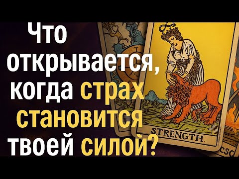 Видео: Что открывается, когда страх становится твоей силой? 🔥