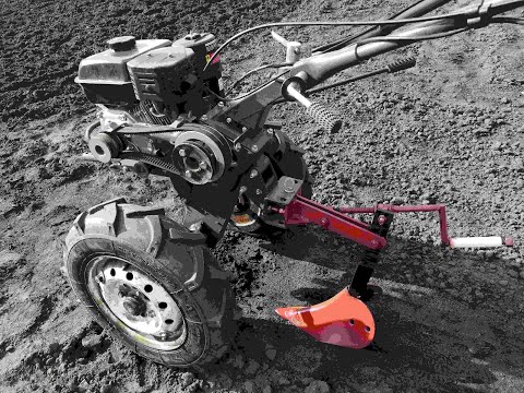 Видео: Лучший способ посадки картофеля мотоблоком