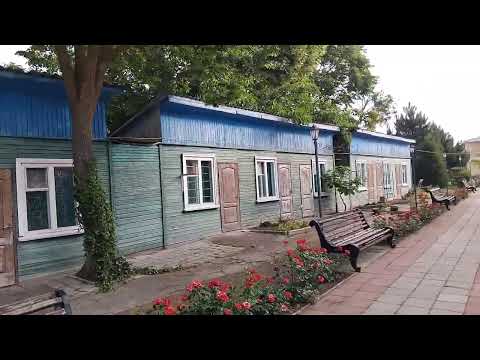 Видео: Грибовка, Золотой Колос, (21.06.2025, часть 1)