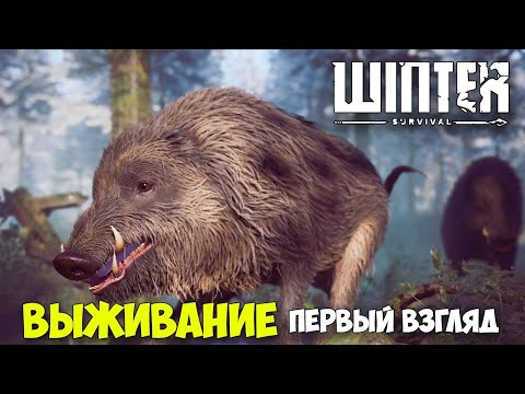 Видео: Winter Survival - Зимнее выживание ( первый взгляд )