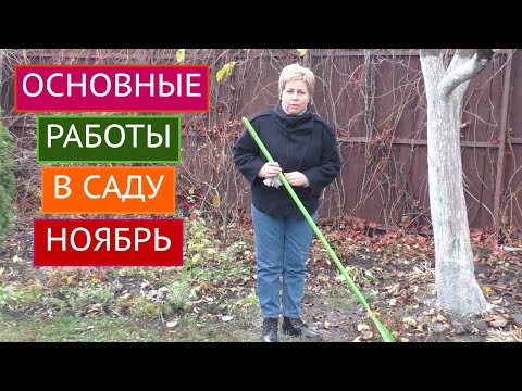 Видео: НЕ ЗАБУДЬТЕ СДЕЛАТЬ ЭТО В САДУ В НОЯБРЕ!