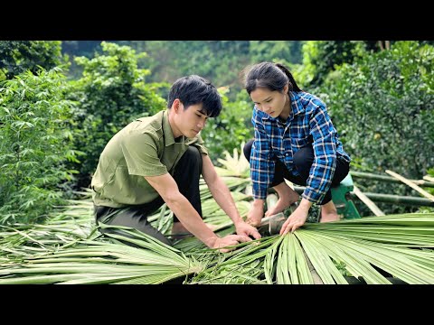 Видео: С помощью полиции дом Тиу Ну постепенно появился посреди леса.