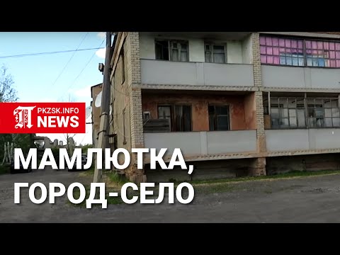 Видео: Мамлютка, город-село