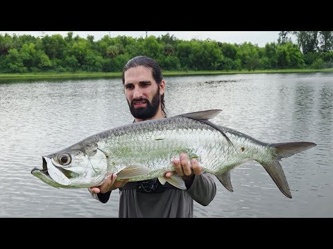 Видео: Ужасный/великий день рыбалки на снука и тарпона