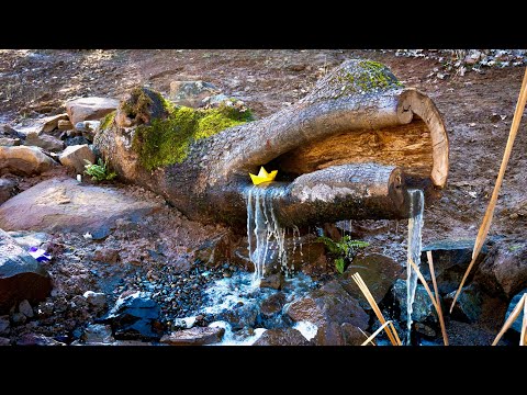 Видео: Водопад в дупле чёрного дуба. Сделай сам.