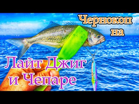 Видео: Лайт ДЖИГ риболов на чернокоп. Риболов с чепаре
