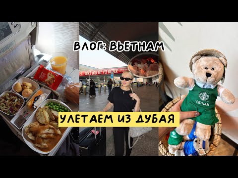 Видео: ВЛОГ: ЛЕТИМ В ХОШИМИН/НЯЧАНГ/ПЕРВЫЙ РАЗ ВО ВЬЕТНАМЕ