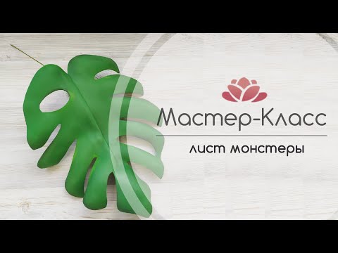 Видео: БЕСПЛАТНЫЙ МК БОЛЬШИЕ ТРОПИЧЕСКИЕ ЦВЕТЫ урок 4 ( ЛИСТ монстеры )