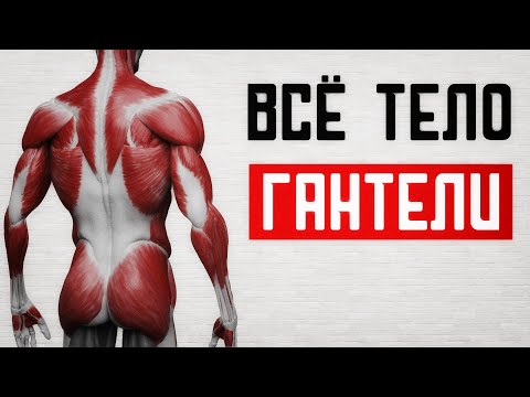 Видео: Эти упражнения сделают тебя огромным! Все упражнения для мышц с гантелями!